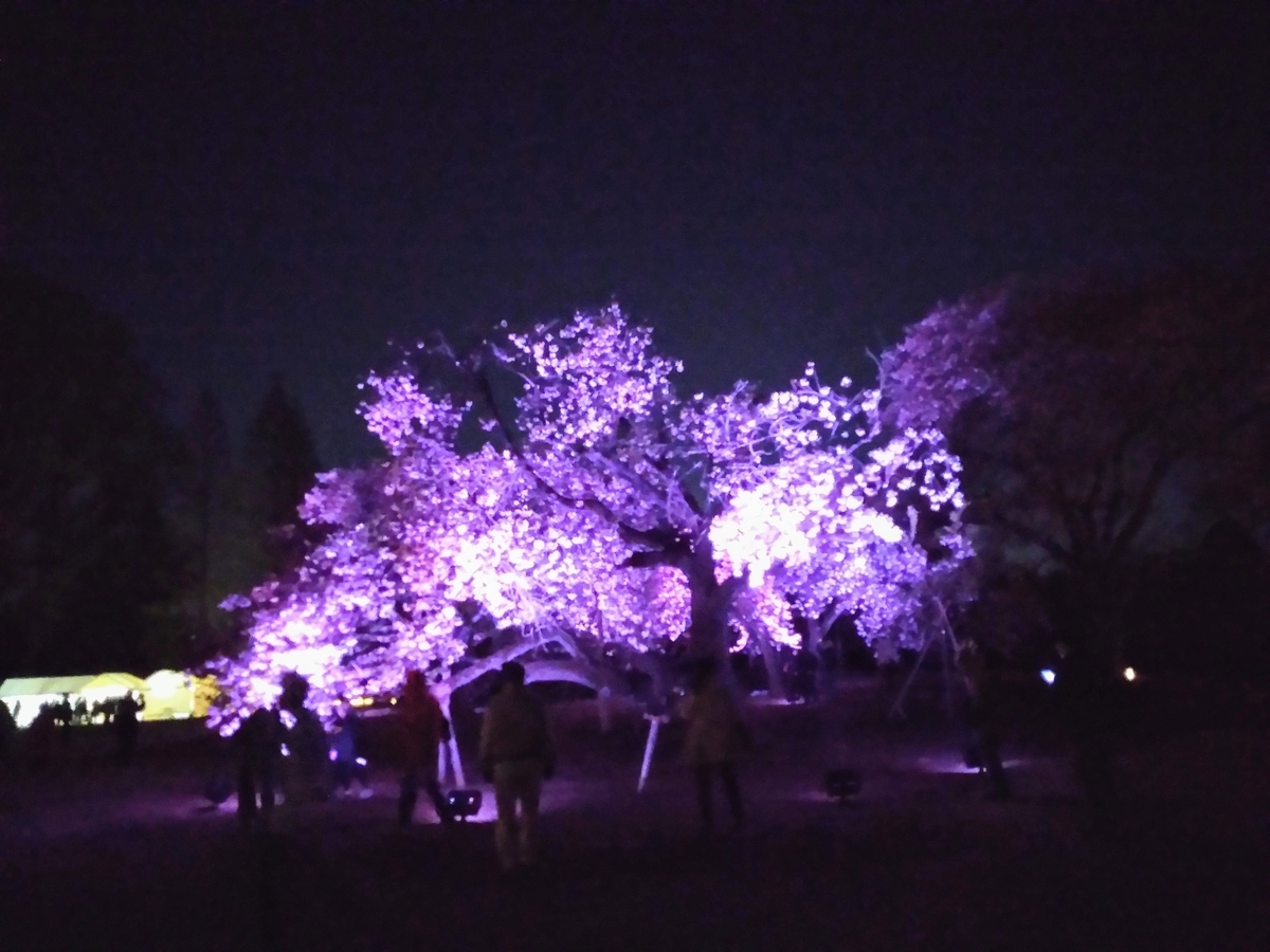 f:id:htnmiki:20190415203916j:plain f:id:htnmiki:20190415203916j:plain