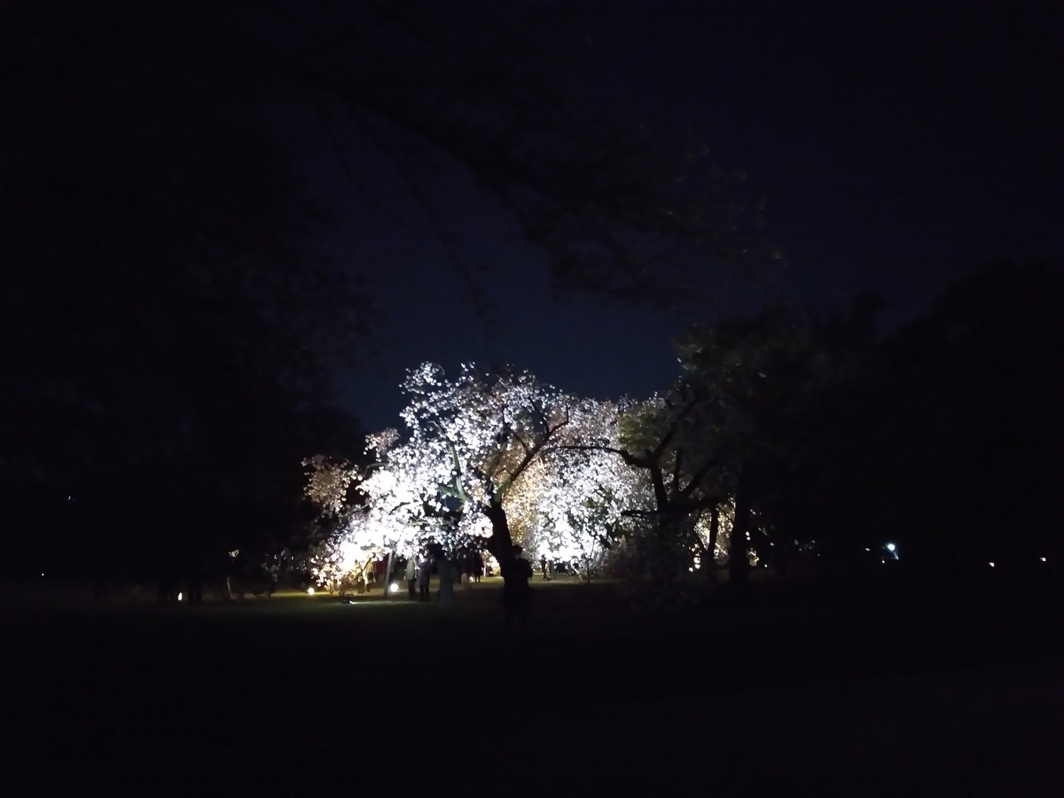 f:id:htnmiki:20190415204112j:plain f:id:htnmiki:20190415204112j:plain