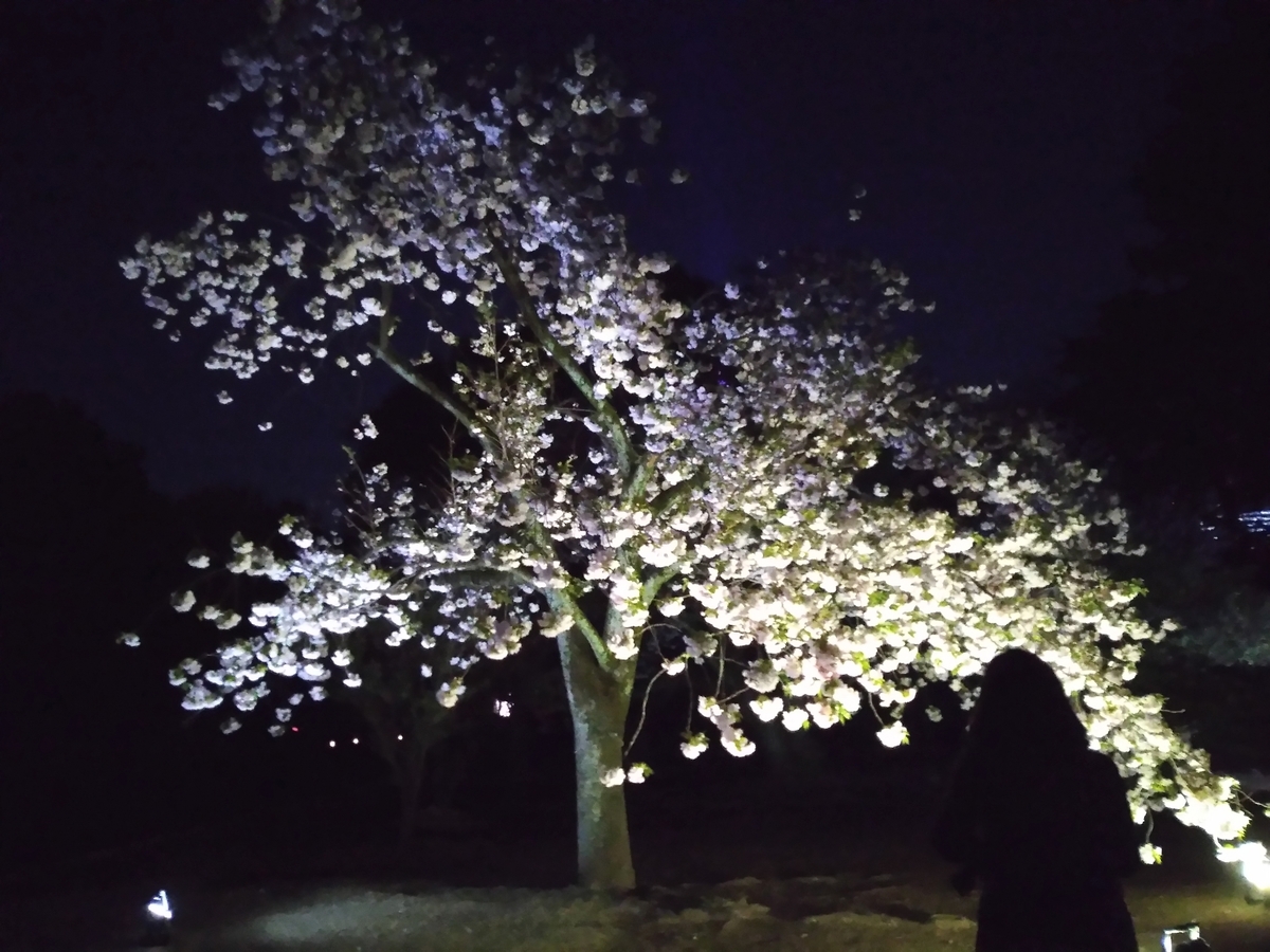 f:id:htnmiki:20190415204150j:plain f:id:htnmiki:20190415204150j:plain