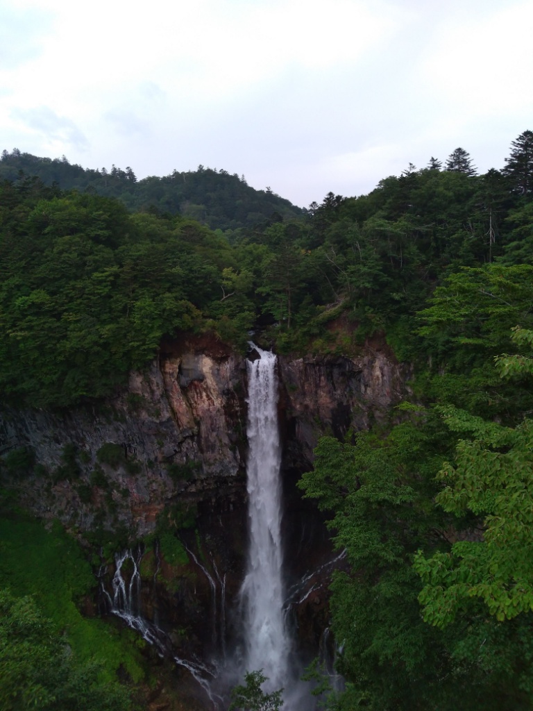 f:id:htnmiki:20200830134837j:plain f:id:htnmiki:20200830134837j:plain