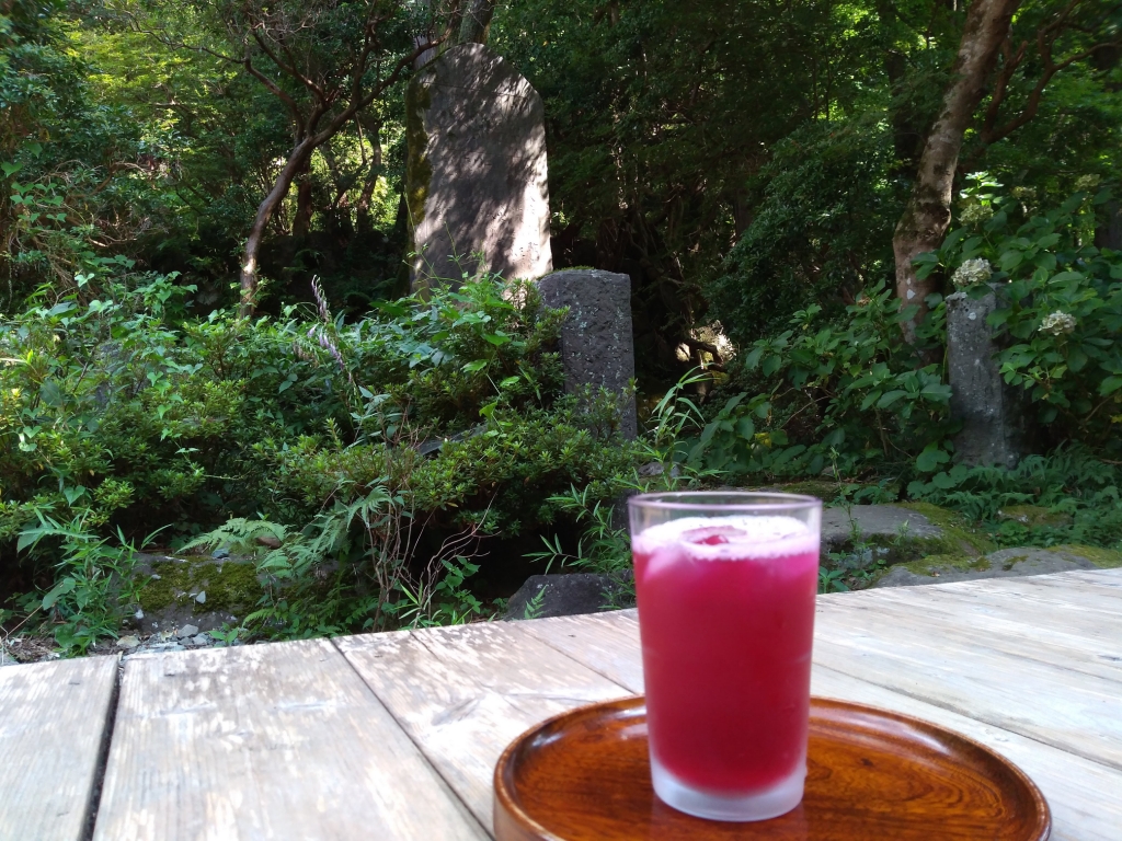 f:id:htnmiki:20200830143250j:plain f:id:htnmiki:20200830143250j:plain