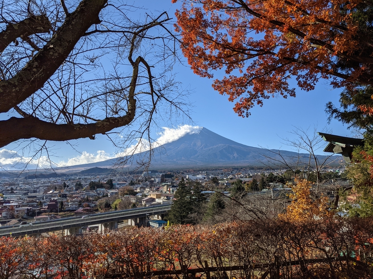 f:id:htnmiki:20201121201906j:plain