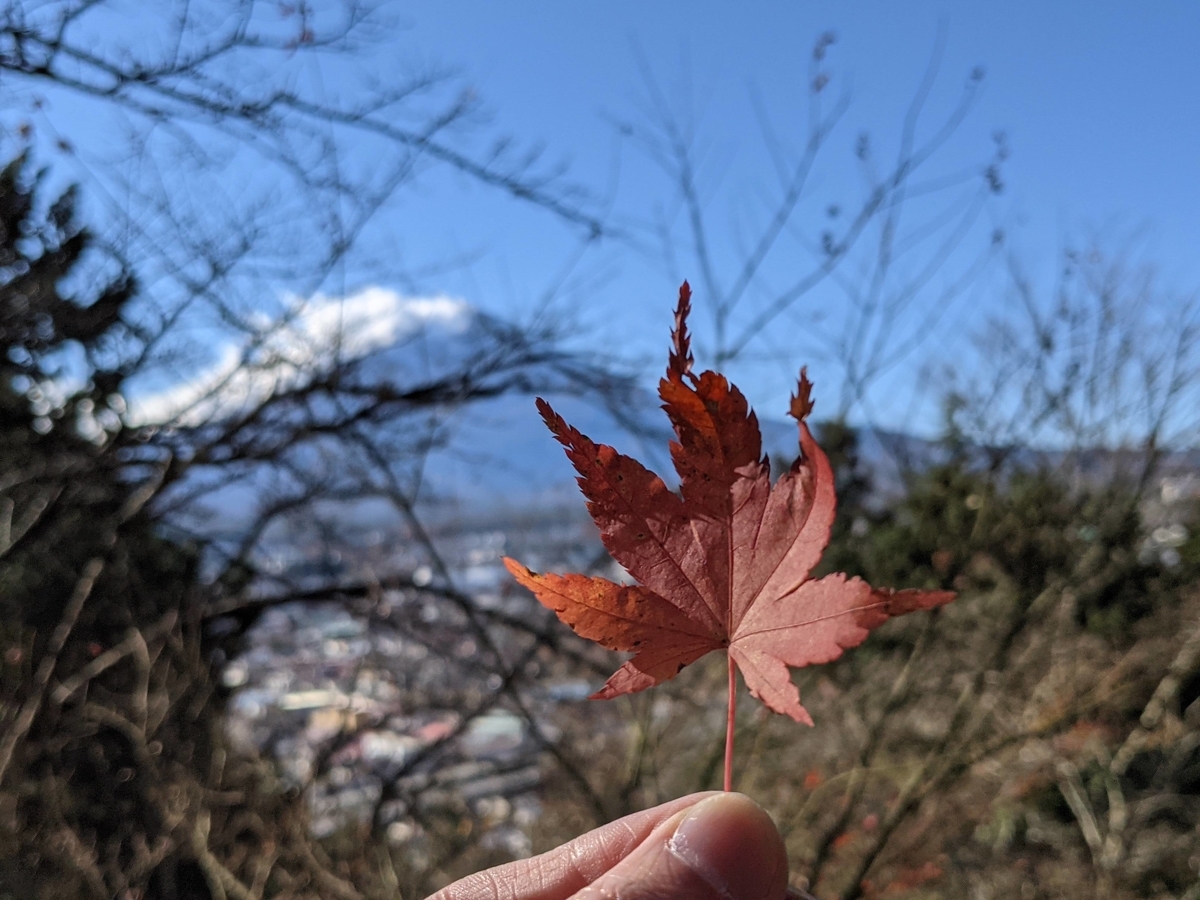 f:id:htnmiki:20201121202714j:plain