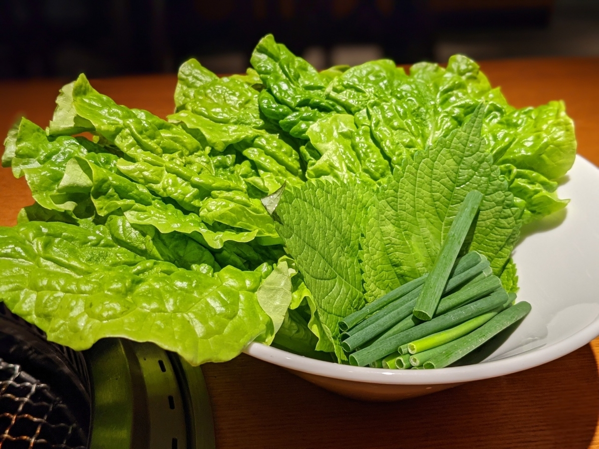 f:id:htnmiki:20210122195107j:plain