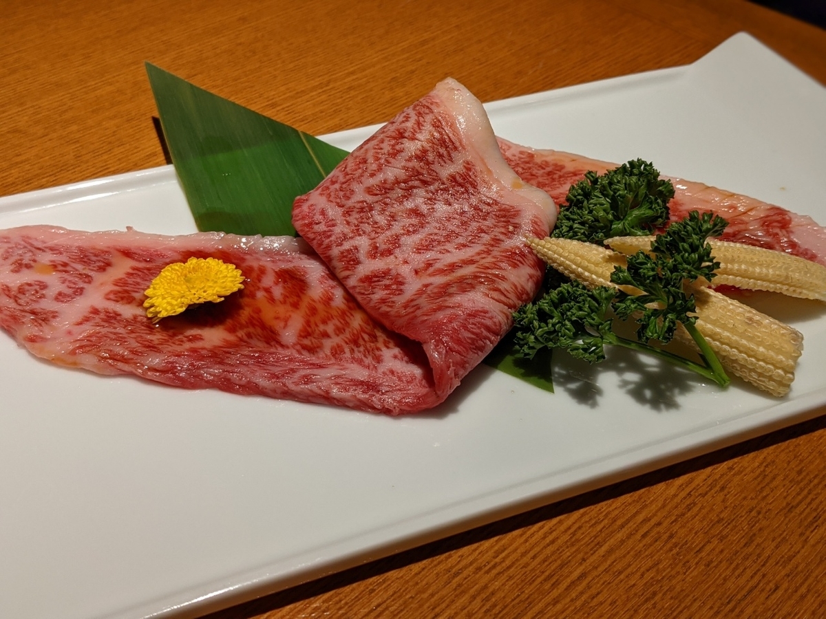 f:id:htnmiki:20210122203229j:plain