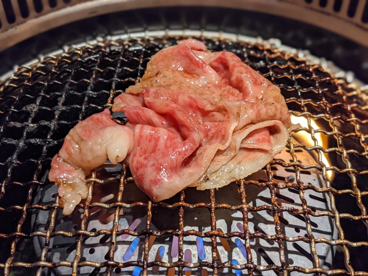 f:id:htnmiki:20210122203917j:plain