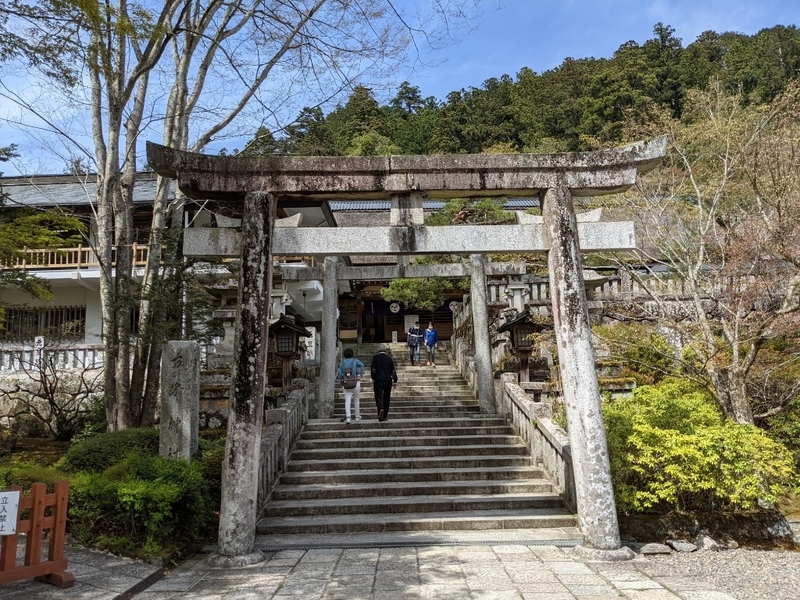 f:id:htnmiki:20210426190046j:plain