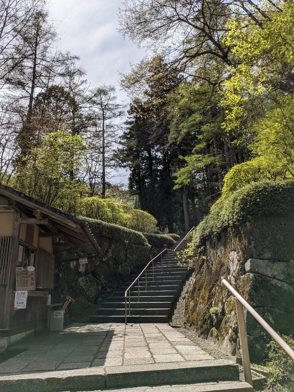 f:id:htnmiki:20210426190133j:plain