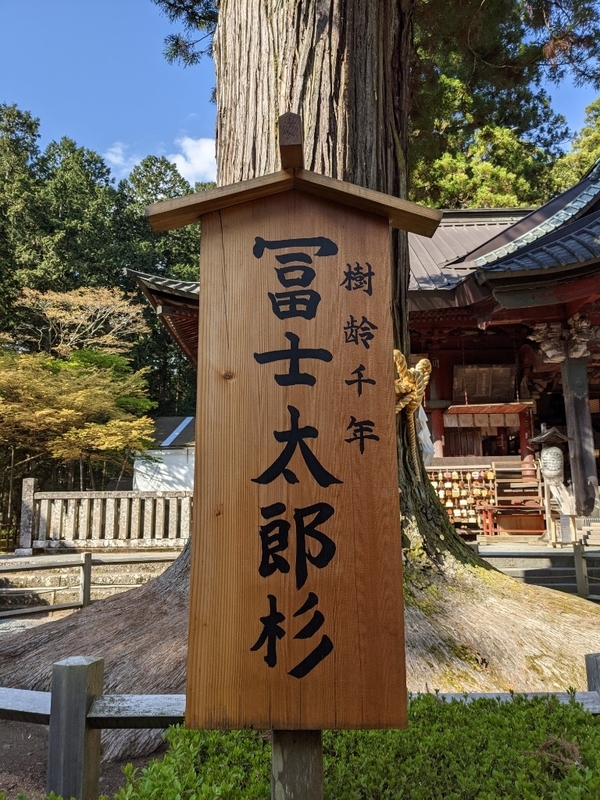 f:id:htnmiki:20210502131147j:plain