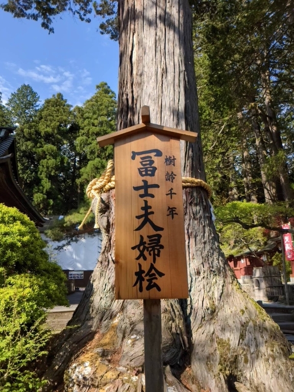 f:id:htnmiki:20210502131213j:plain