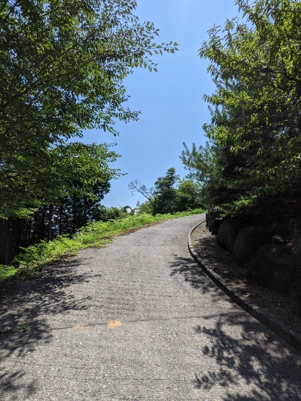 f:id:htnmiki:20210723172049j:plain