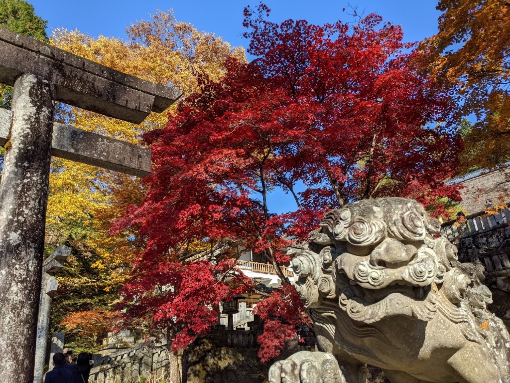 f:id:htnmiki:20211106094130j:plain