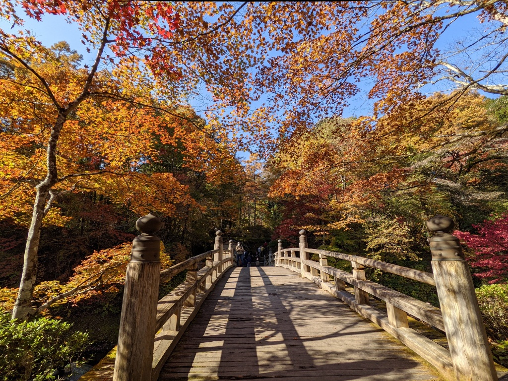 f:id:htnmiki:20211106094207j:plain