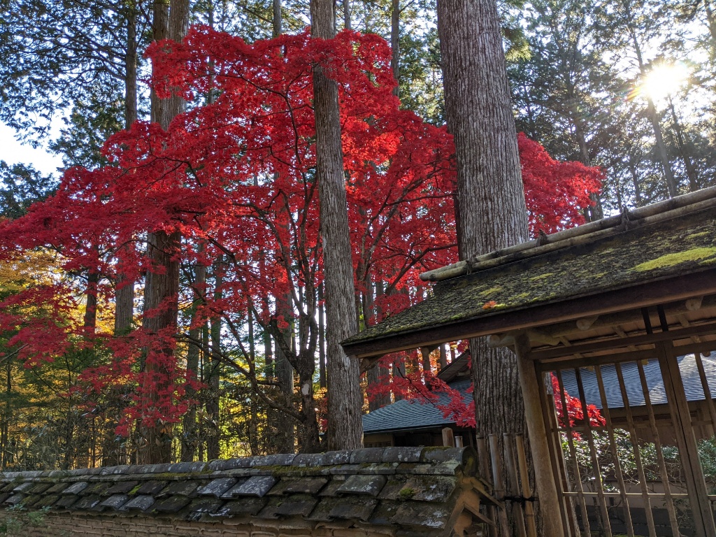 f:id:htnmiki:20211106094257j:plain