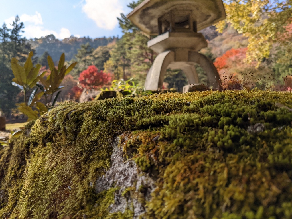 f:id:htnmiki:20211106094422j:plain