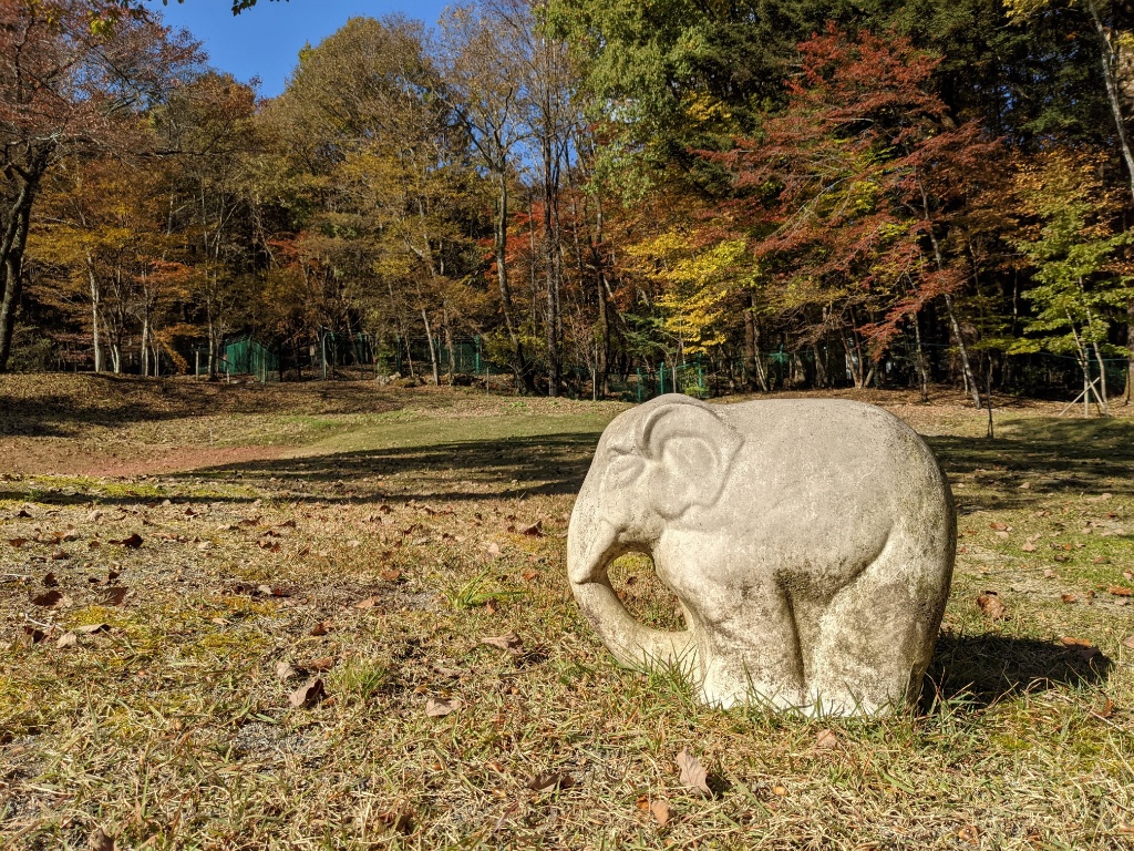 f:id:htnmiki:20211106094823j:plain