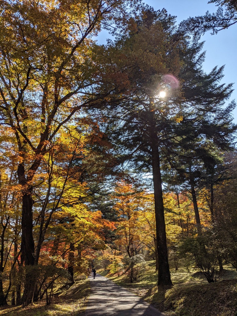 f:id:htnmiki:20211106094953j:plain