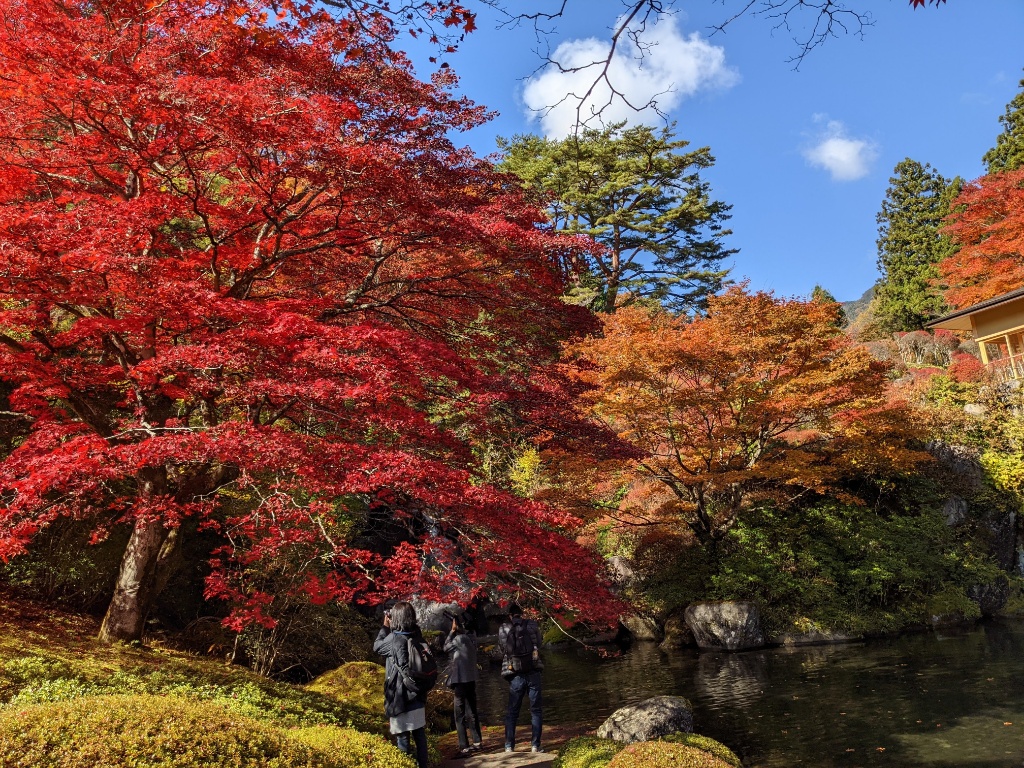 f:id:htnmiki:20211106095021j:plain