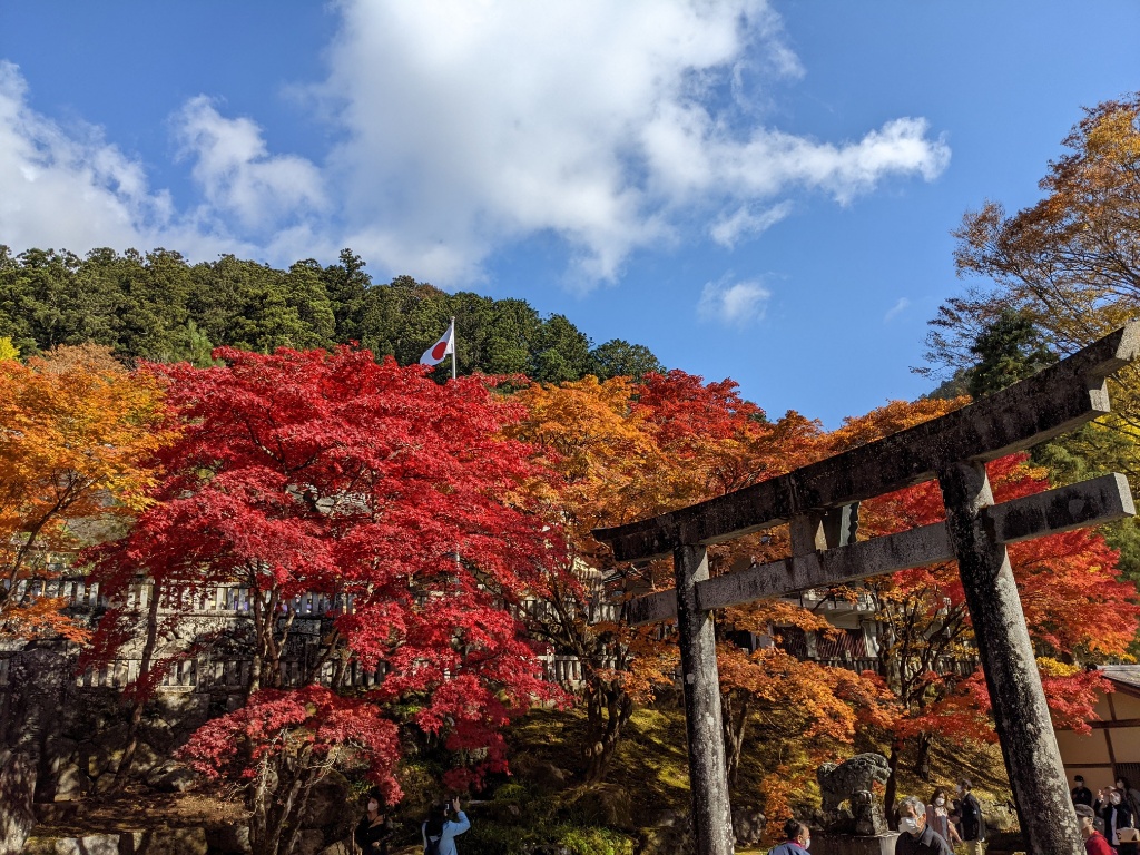 f:id:htnmiki:20211106095242j:plain