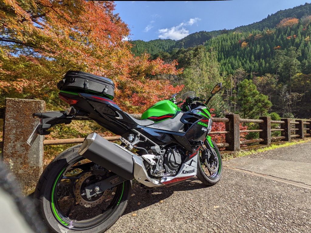 f:id:htnmiki:20211106095355j:plain