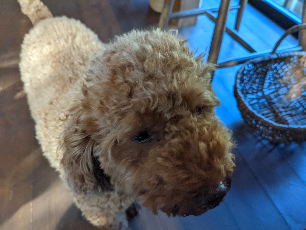 f:id:htnmiki:20211106095610j:plain