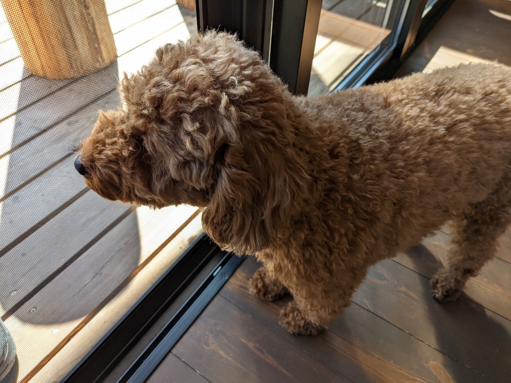 f:id:htnmiki:20211106095746j:plain