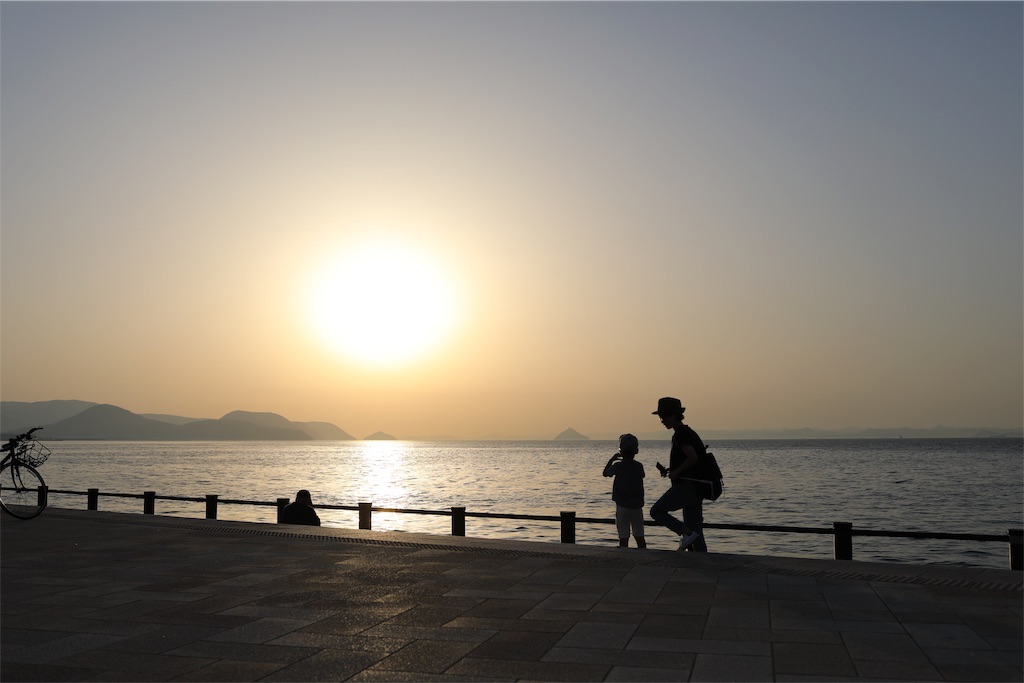 f:id:htyanaka:20190127201531j:image