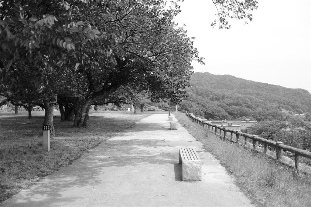 f:id:htyanaka:20210620231749j:plain