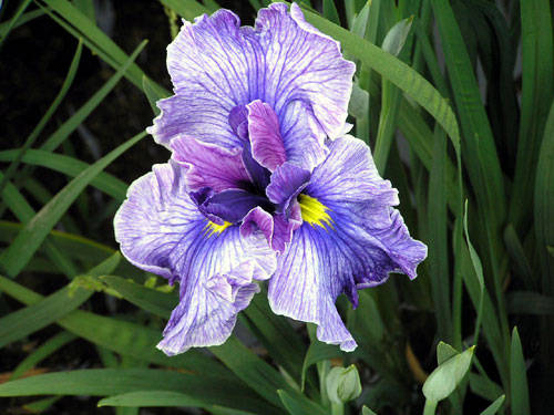 f:id:htym67:20050609123417:image