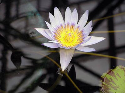 f:id:htym67:20060331131550j:image