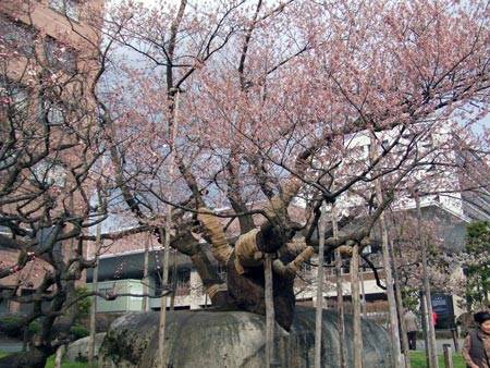 f:id:htym67:20060501113309j:image f:id:htym67:20060501113309j:image