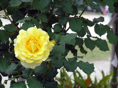 f:id:htym67:20060513213001j:image f:id:htym67:20060513213001j:image