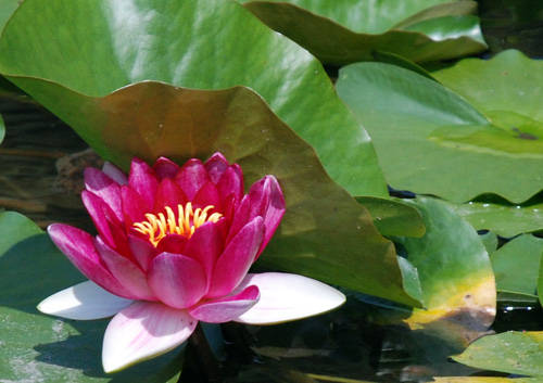 f:id:htym67:20090605103723j:image f:id:htym67:20090605103723j:image