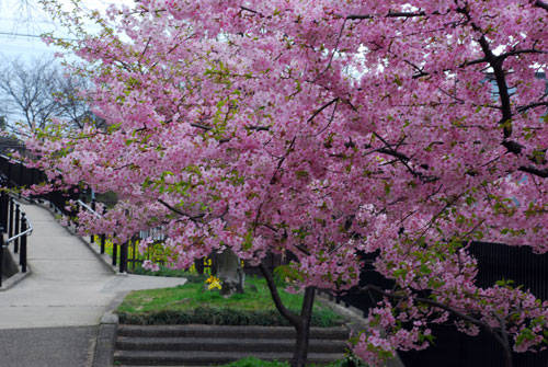 f:id:htym67:20100315170036j:image
