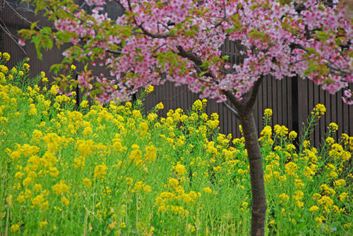 f:id:htym67:20100315170042j:image