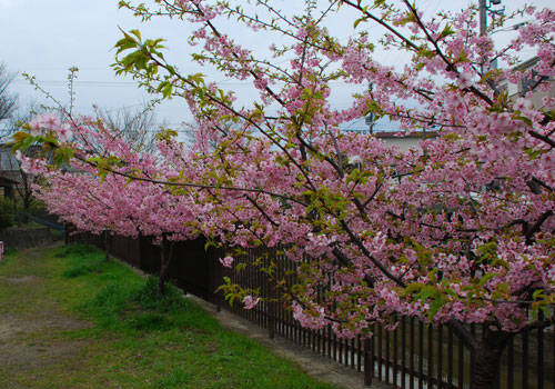 f:id:htym67:20100315170043j:image