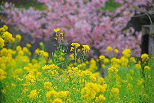 f:id:htym67:20100315170308j:image