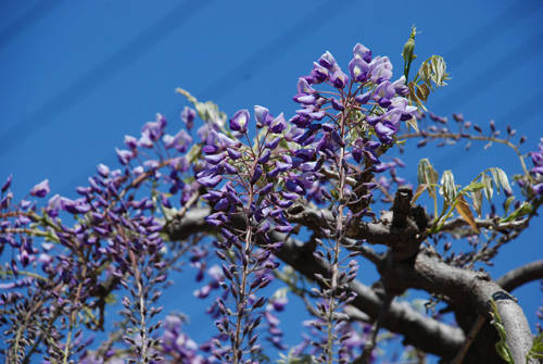f:id:htym67:20100426224114j:image f:id:htym67:20100426224114j:image