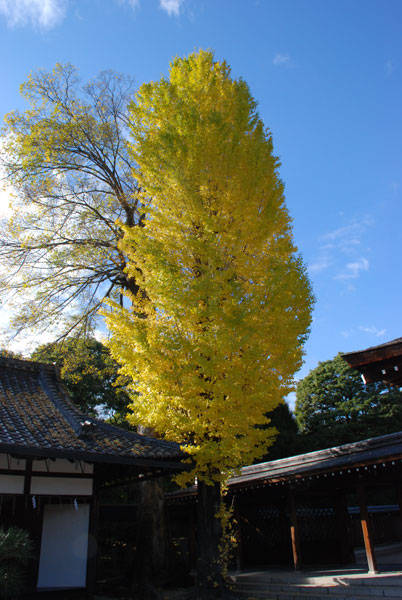 f:id:htym67:20101118225103j:image f:id:htym67:20101118225103j:image