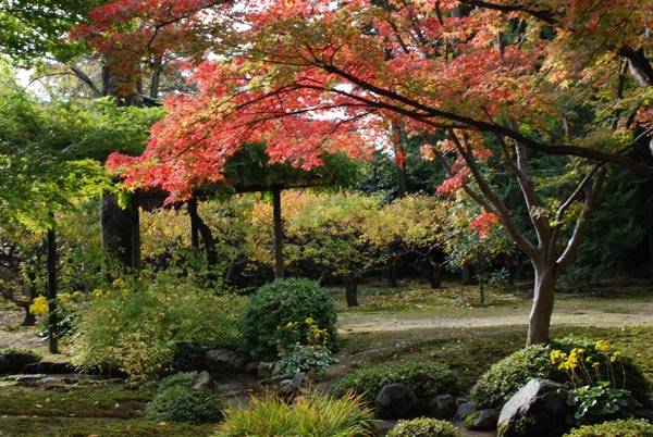 f:id:htym67:20101118230634j:image f:id:htym67:20101118230634j:image
