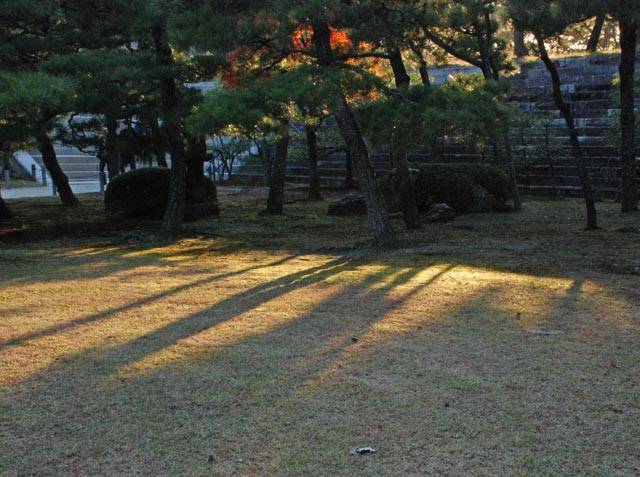 f:id:htym67:20101120213000j:image f:id:htym67:20101120213000j:image