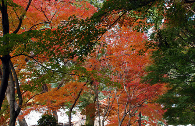 f:id:htym67:20101121214821j:image f:id:htym67:20101121214821j:image