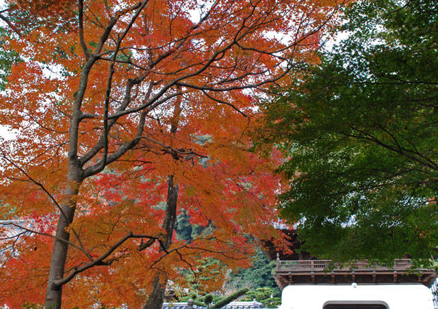f:id:htym67:20101121215051j:image f:id:htym67:20101121215051j:image