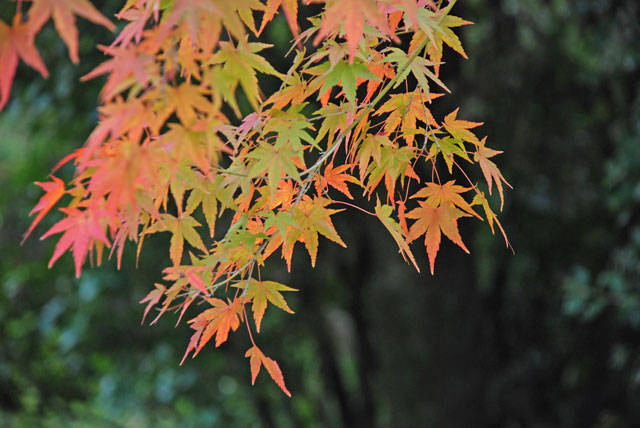 f:id:htym67:20101121220138j:image f:id:htym67:20101121220138j:image