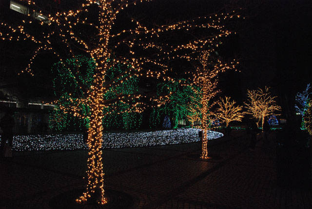 f:id:htym67:20101228215155j:image f:id:htym67:20101228215155j:image