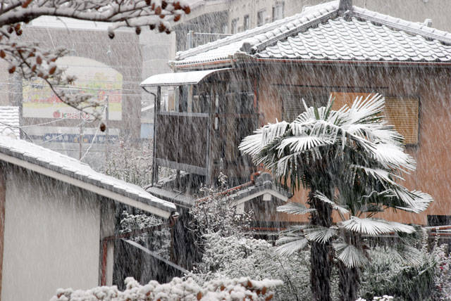 f:id:htym67:20101231130819j:image f:id:htym67:20101231130819j:image