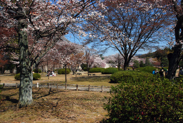 f:id:htym67:20110407145713j:image f:id:htym67:20110407145713j:image