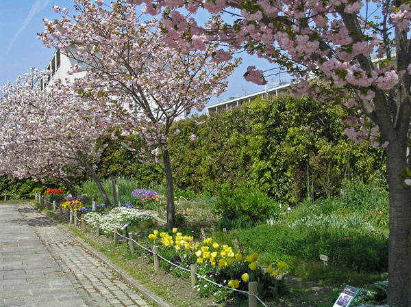 f:id:htym67:20110422221154j:image f:id:htym67:20110422221154j:image