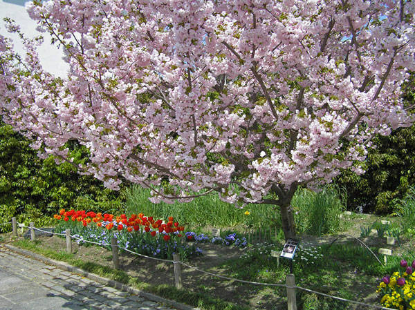 f:id:htym67:20110422221155j:image f:id:htym67:20110422221155j:image