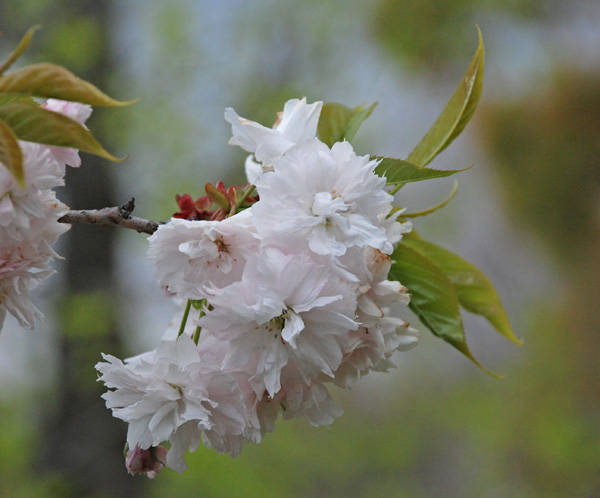 f:id:htym67:20110425230704j:image f:id:htym67:20110425230704j:image